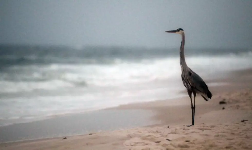 US Officials Granting $29 Million for Coastal Protection