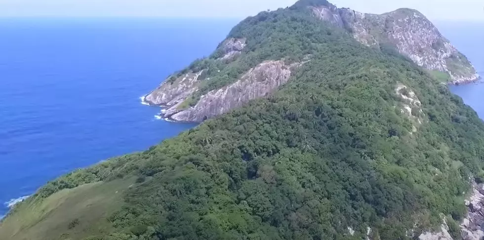 Have You Ever Heard of Snake Island off the Coast of Brazil?